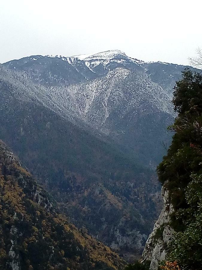 Apartment Near Olympus Mountain لِتوخورو المظهر الخارجي الصورة
